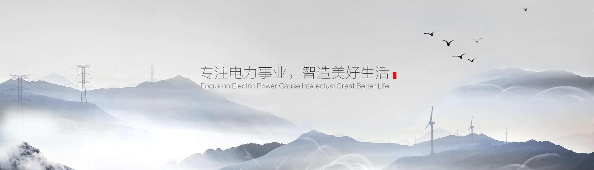 沛譽(yù)能源有限公司