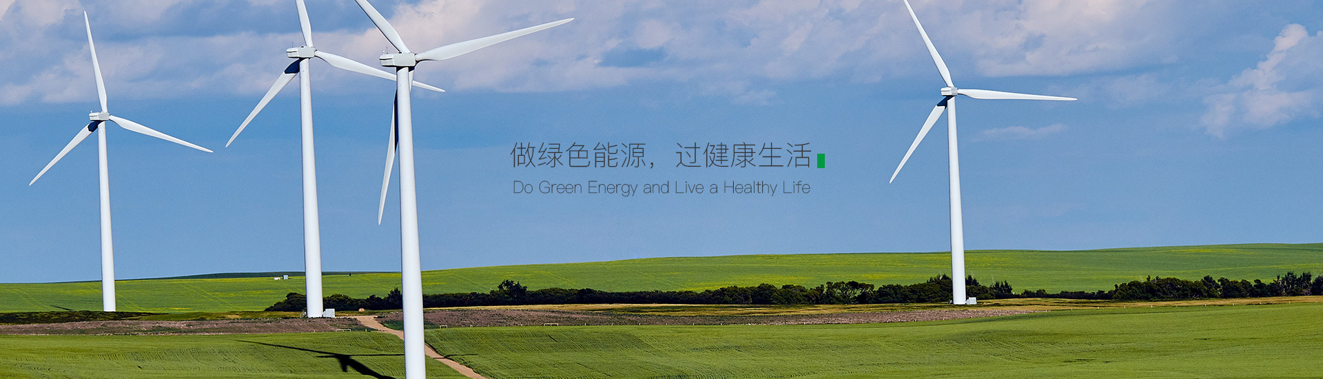 沛譽(yù)能源有限公司